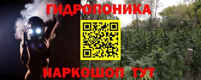 соль курить ск Кингисепп