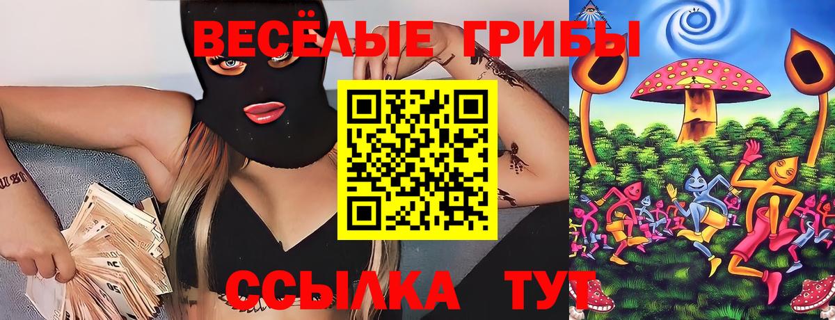 Кострома  Псилоцибиновые грибы GOLDEN TEACHER  Вход с VPN 